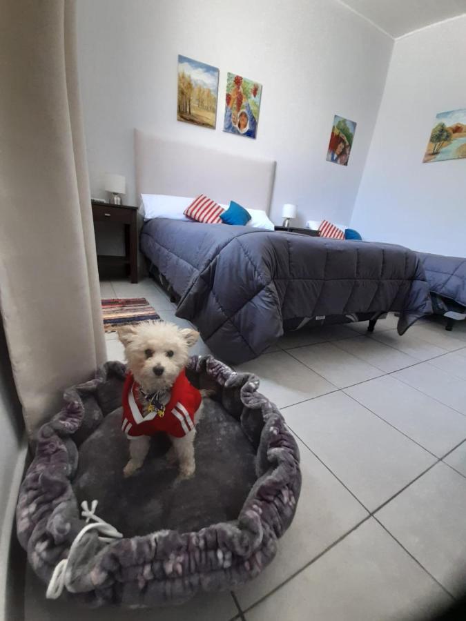 Departamento Centrico 3 +1 Apartment *